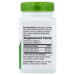 Nature's Way, черная бузина, 100 веганских капсул (575 мг в 1 капсуле)