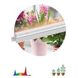 Светильник для растений, фитолампа светодиодная линейная ЭРА FITO-9W-T5-Ra90 полного спектра 9 Вт Т5 | Линейные фито светильники