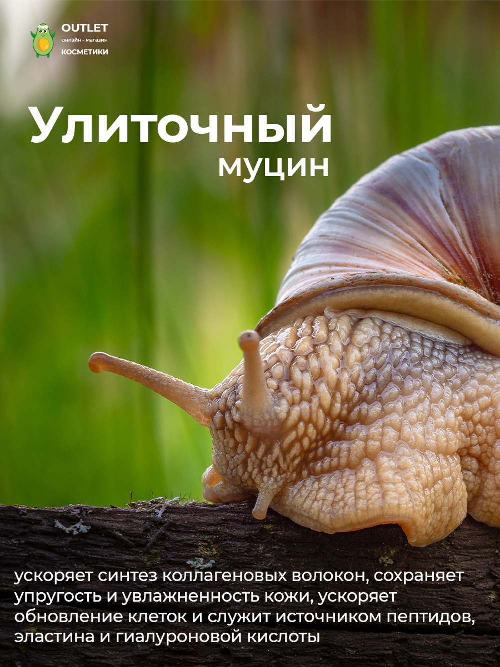FARMSTAY - КРЕМ ДЛЯ ВЕК И ГЛАЗ ПРОТИВ МОРЩИН С ЭКСТРАКТОМ КОРОЛЕВСКОЙ УЛИТКИ ESCARGOT NOBLESSE INTENSIVE EYE CREAM, 50 G