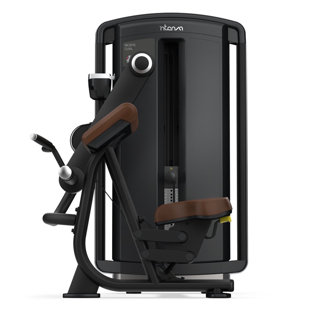 Бицепс машина INTENZA DEZIGN "Бицепс" DL-01