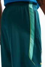 Шорты Nike Brazil 2026 Strike - зеленый