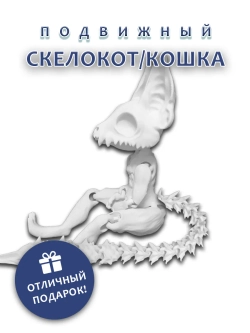 Скелет Кошки