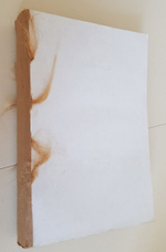 "Первый Всесоюзный съезд советских писателей 1934. Стенографический отчет"  1934 г.