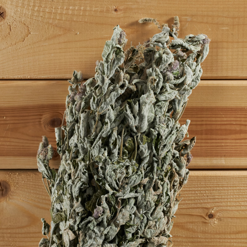 Мята яблочная, букет_5.jpg