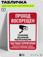 Табличка для частной территории "Парковки нет, частная территория", на дом, для участка, организаций, предупреждающая, 40х30 см, Silver Plane x Айдентика Технолоджи