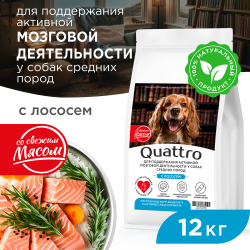 Корм сухой для взрослых собак средних пород, премиум полнорационный комплекс, забота о памяти и мозговой активности, с лососем, 12 кг, QUATTRO