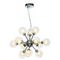 Подвесная люстра Vele Luce Dandelion VL1173L12