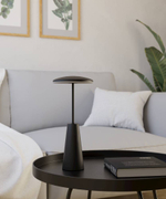 Аккумуляторная настольная лампа Eglo PICCOLA 900925