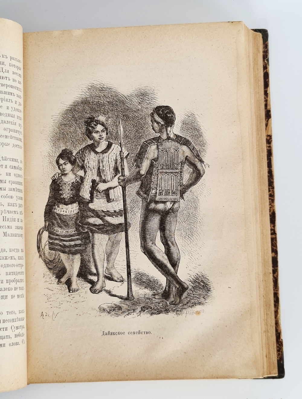 "Малайский архипелаг: Страна оранг-утана и райской птицы". А.Р.Уоллес. 1872г.