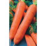 Семена Морковь Королева Осени (Марс) Б/П