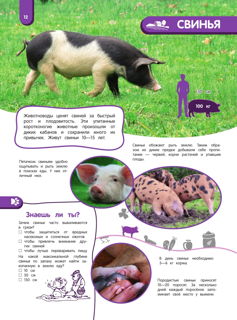 Удивительный мир животных. Энциклопедия для детей