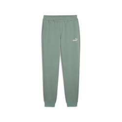 Брюки спортивные мужские PUMA ESS 2 COLOR No. 1 Logo Sweatpants TR cl