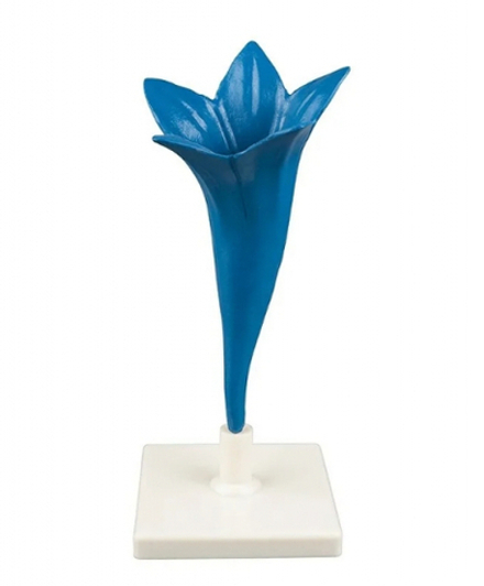 Модель "Цветок василька"