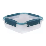 Контейнер герметичный Butterfly bright 0,8л (хвоя)