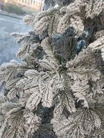 Заснеженная елка «Камчатская» (Литая+пвх) 180 см / 1.8 м