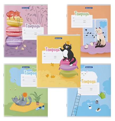 Тетрадь А5 12л. линия "Озорные коты" обложка картон (BRAUBERG)