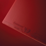 Butterfly Bryce High Speed