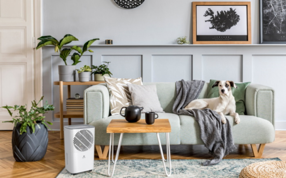 Бытовые осушители воздуха ROYAL CLIMA RD-CR10-E фото 9