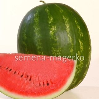Арбуз Каристан F1 2500 (семян) &gt; 47 грамм