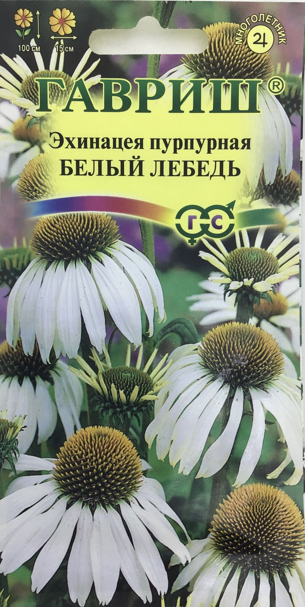 6874597185