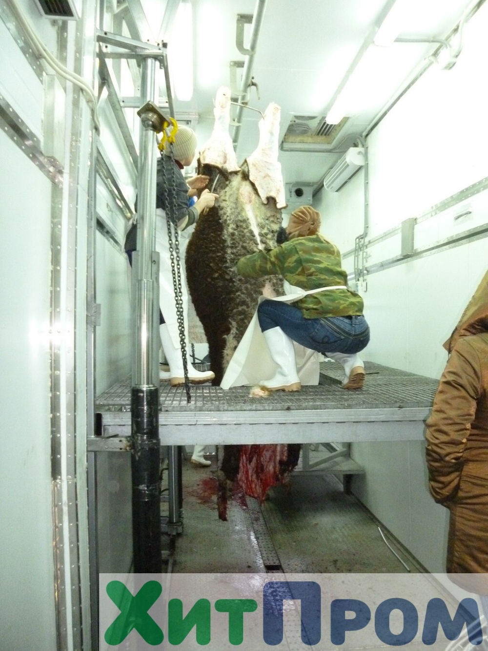 Комплекс убоя и переработки КРС до 20 голов/смена и МРС до 200 голов/смена. р. Татарстан