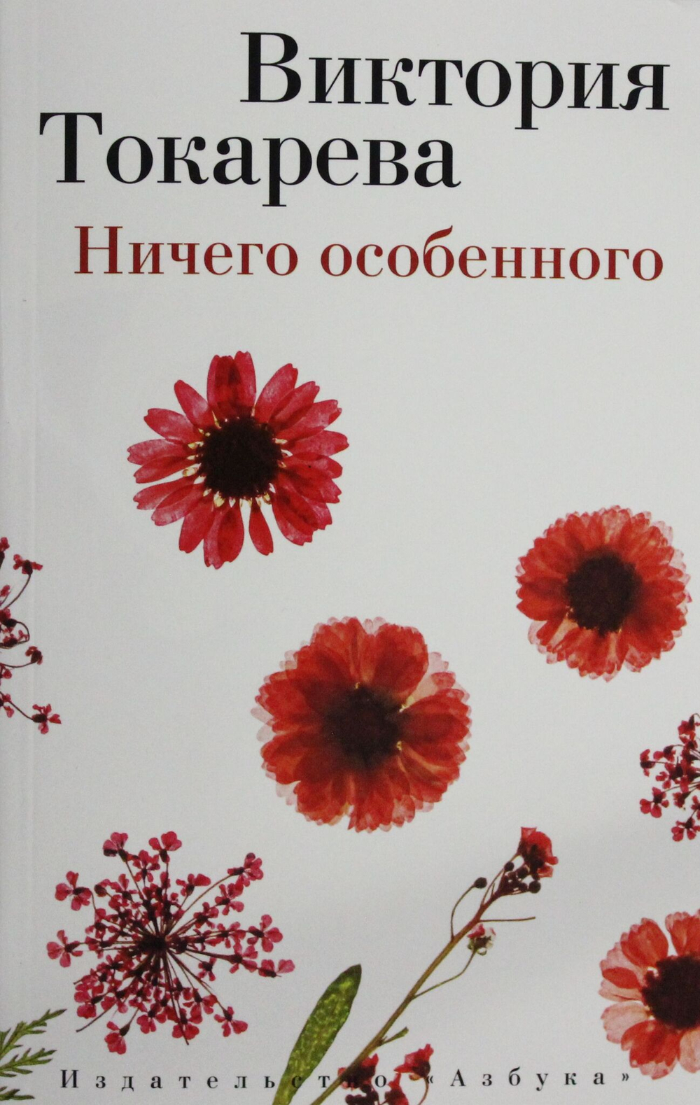 Ничего особенного (мягк/обл.)