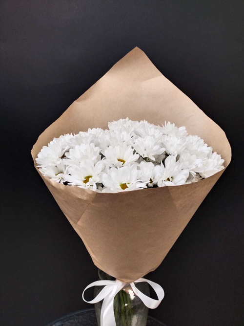 Хризантема  Ромашка