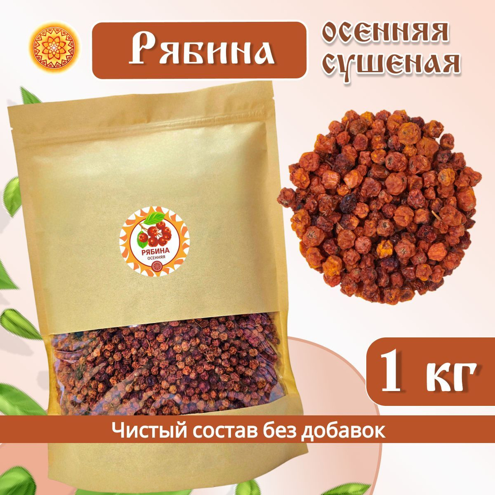 Рябина красная. Алтайская "Осенняя" ягода сушеная