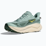 Кроссовки для бега HOKA Challenger 8 jade/truffle salt