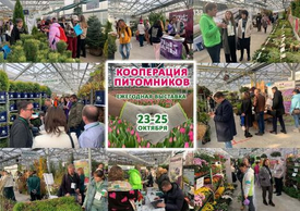 Выставка "Кооперация питомников 2024": партнерство и инновации