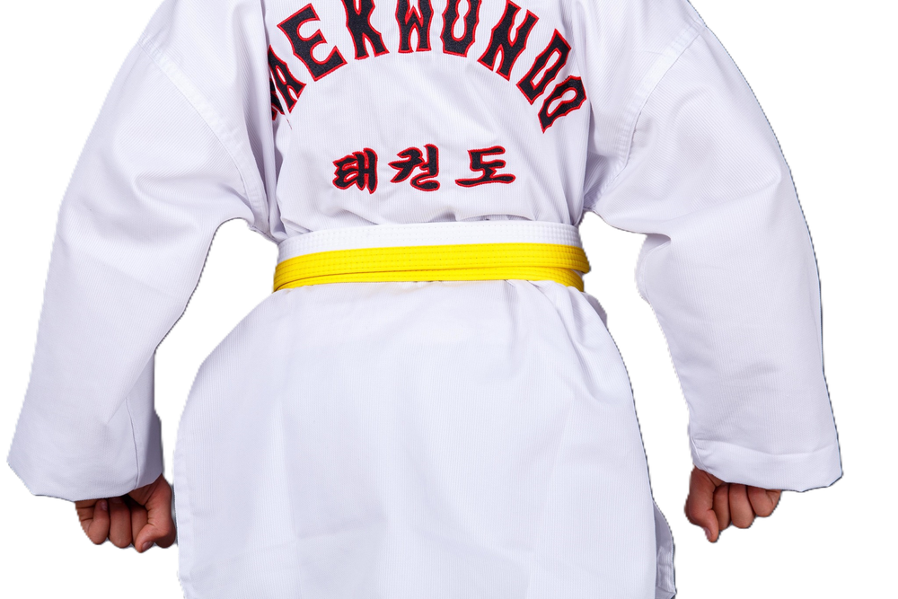 Пояс для тхэквондо ProfSport с вышивкой бело-желтый