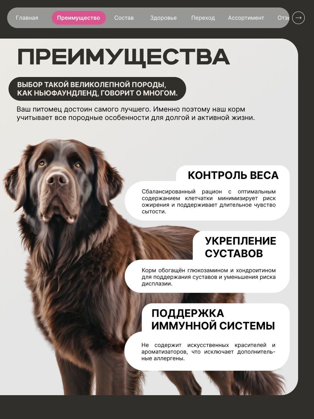 Корм сухой для взрослых собак породы Ньюфаундленд, премиум полнорационный комплекс, с говядиной, 12 кг, QUATTRO