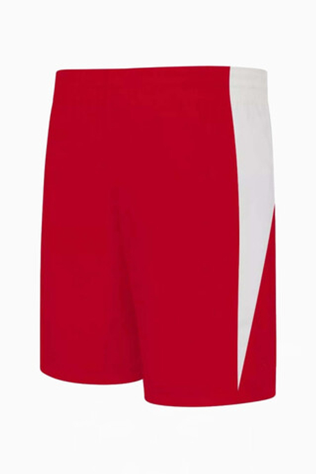 Шорты Nike Team Basketball