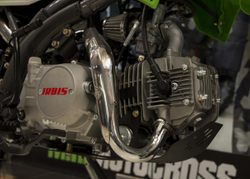 Питбайк IRBIS TTR 125R 17/14 2021 Green