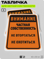 Табличка для частной территории "Внимание, частная собственность", на дом, для участка, организаций, предупреждающая, 40х30 см, Silver Plane x Айдентика Технолоджи