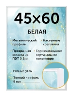 Металлическая рамка для постера 45х60 см