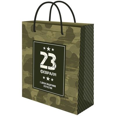 Подарочный пакет «23 февраля! Милитари», 26х33см