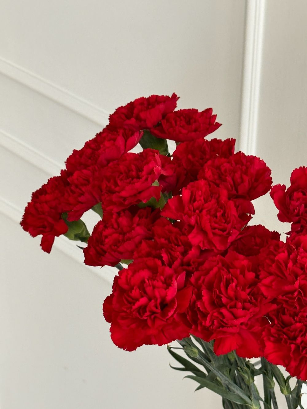 Гвоздика в красном оттенке