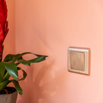 Выключатель одноклавишный (шампань рифленый)