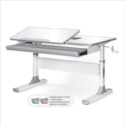 Письменный стол для школьников Ergokids Vancouver BD-620 Lite