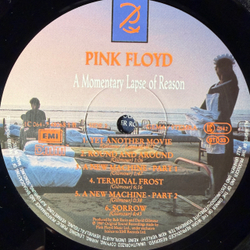 Виниловая пластинка Pink Floyd - A Momentary Lapse Of Reason LP
