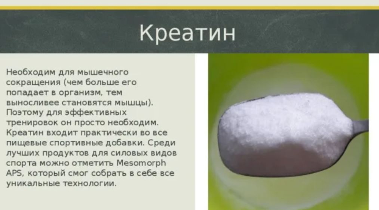 Кому нужен креатин: спортсменам, новичкам, женщинам и людям старшего возраста