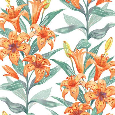 Тигровые лилии на белом