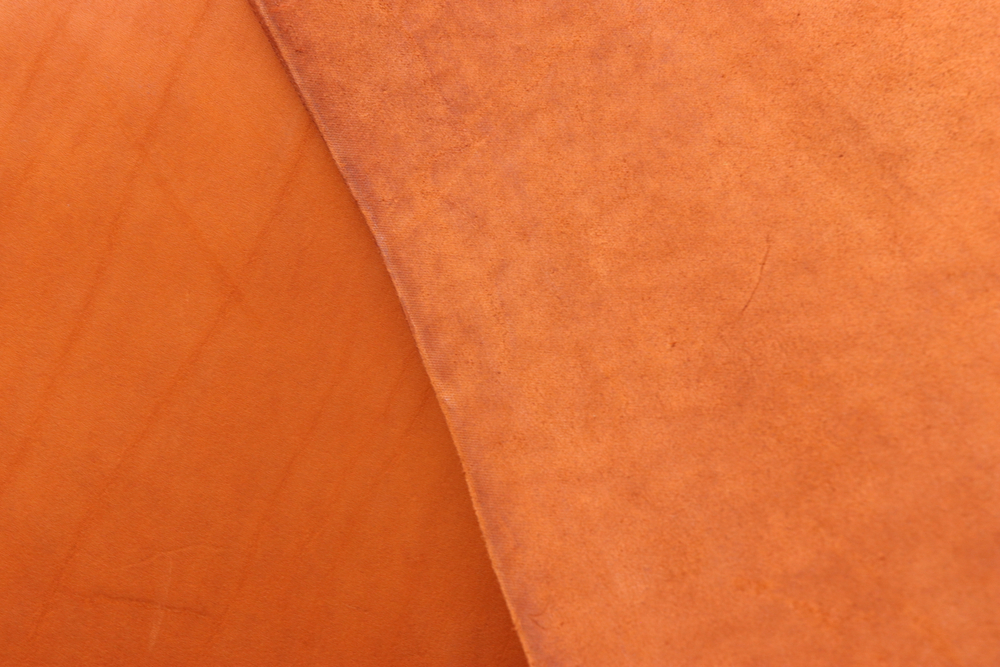 4+ чепрак рыжий