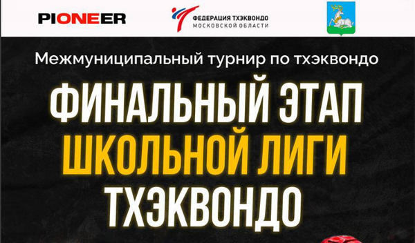 Фестиваль по тхэквондо ВТ &quot;Финал школьной лиги тхэквондо&quot;