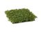 Коврик газон Медовый Мох