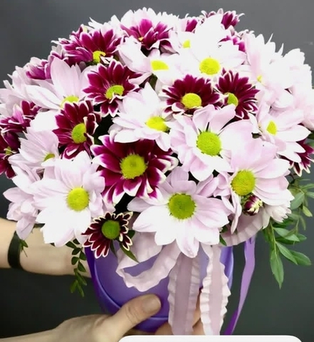 Композиция с ромашками