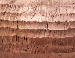 Кашпо TREEZ Effectory - Metal - Полусфера - Розовая медь Чеканка