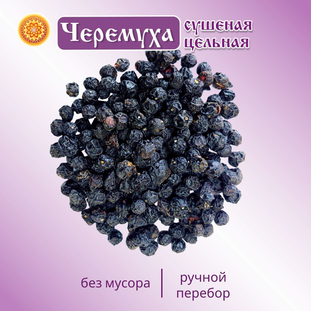 Черемуха чёрная Алтайская.