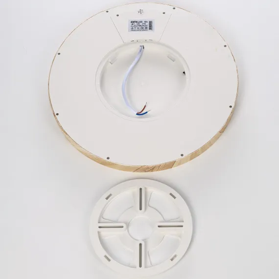 CL738242V Бейсик Клен Св-к Накл. LED 24W*Мульти